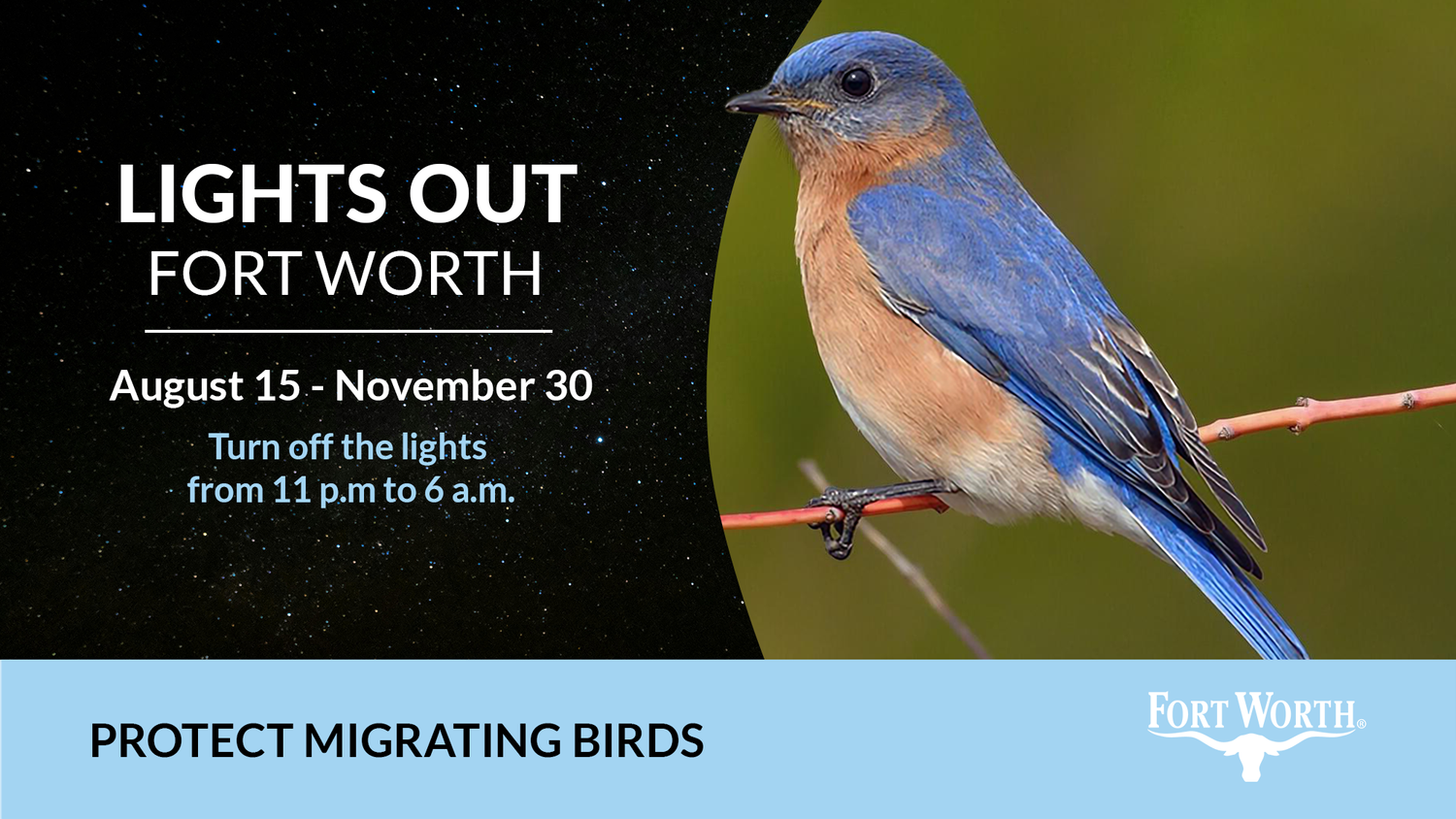 City of Fort Worth — 10