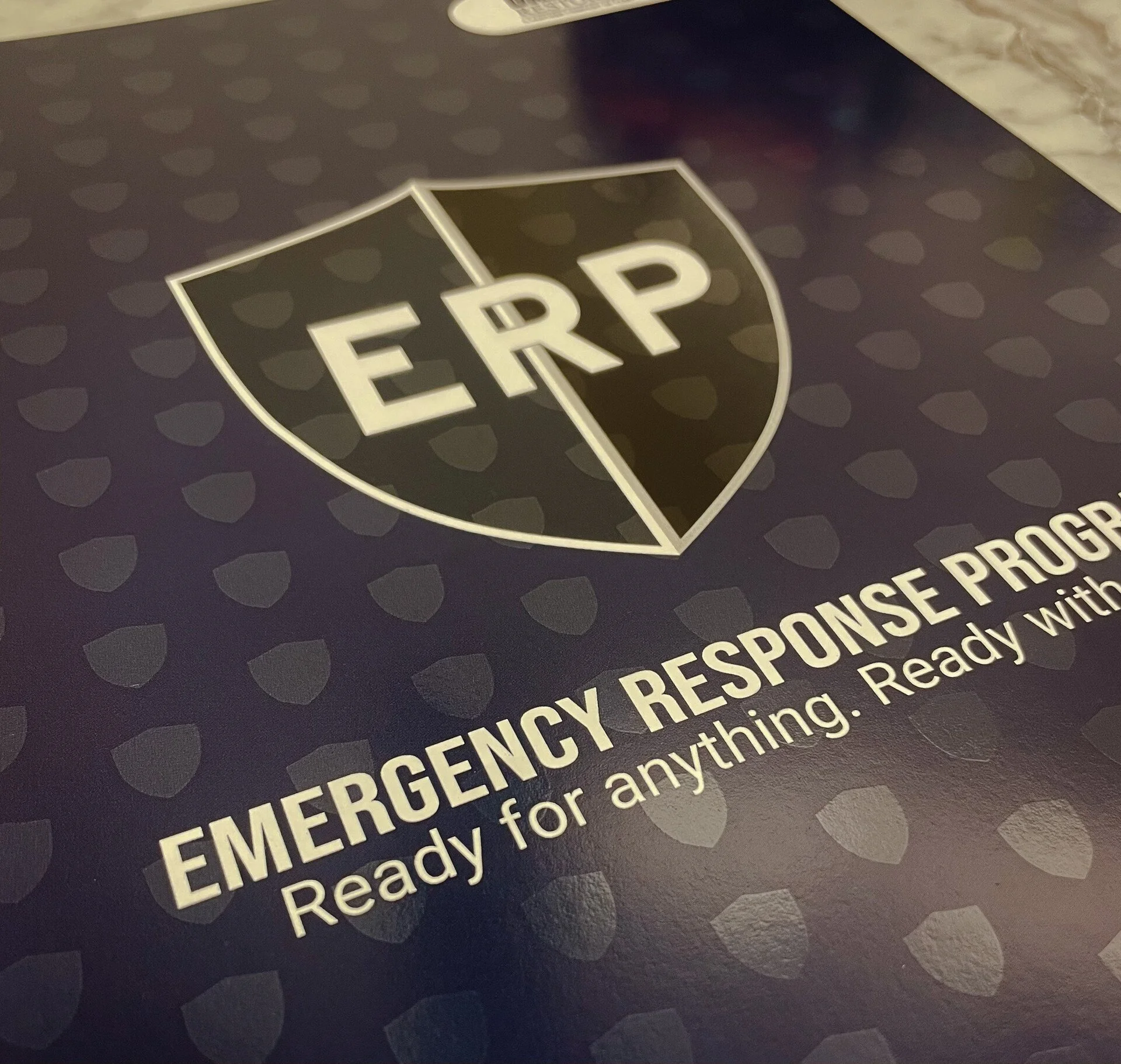 Dalworth Restoration — 4